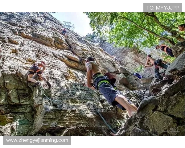杭州极限运动队勇闯攀岩联赛逆袭之路展现拼搏精神与团队力量